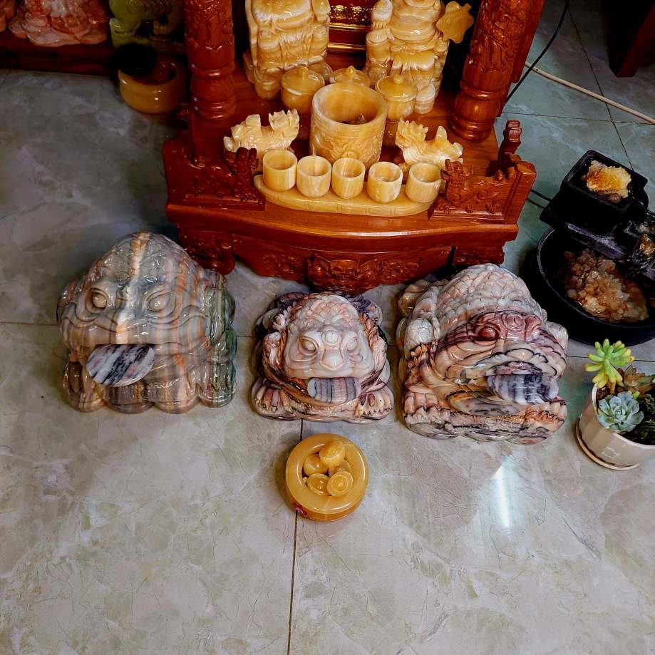 Ông cóc đá ngọc tím ngũ sắc — ảnh phụ 2