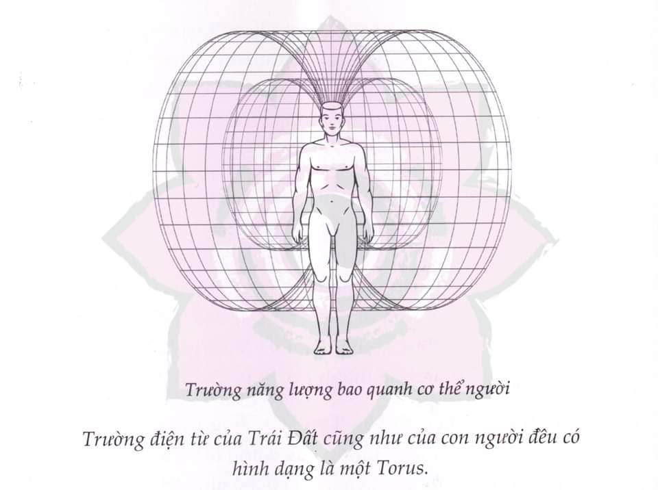 Cầu thập nhị diện – Cầu 12 mặt — ảnh phụ 2
