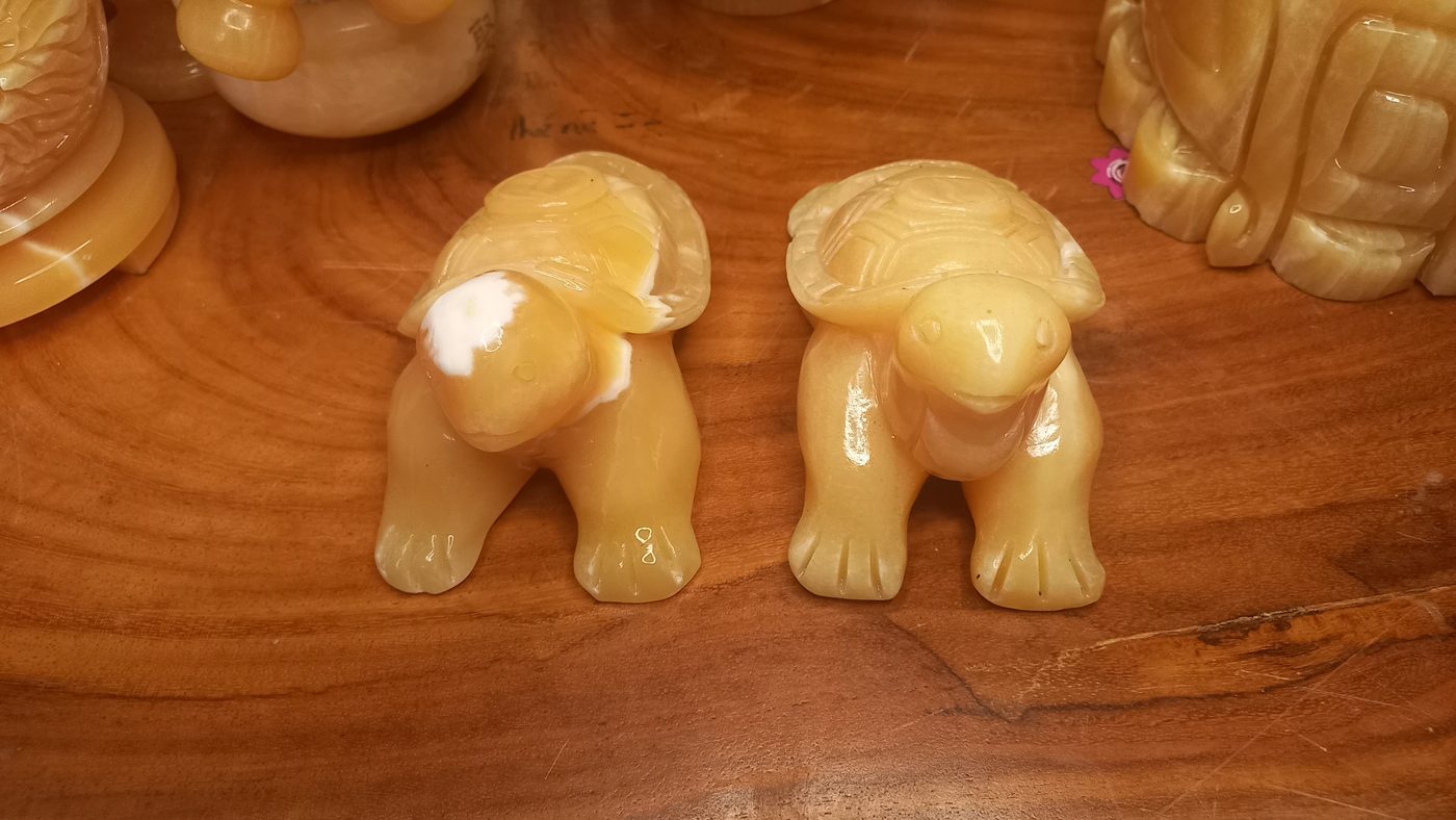 Kim Quy Quá hải – Ngọc Hoàng Long