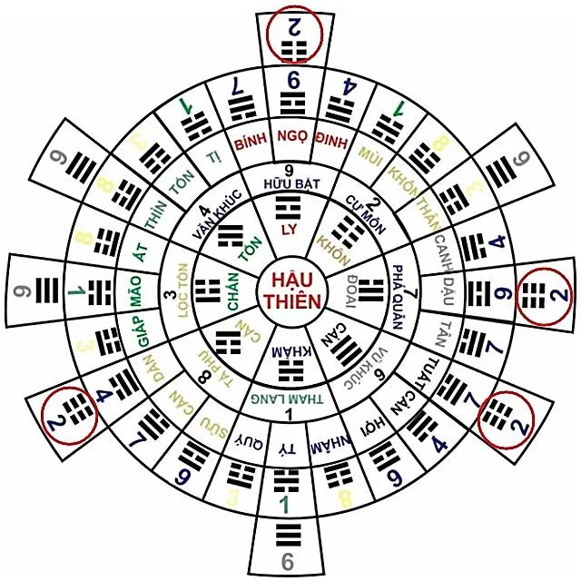 Hình 118
