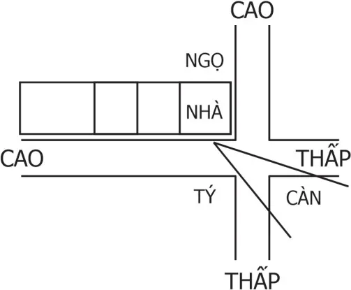 Hình 201
