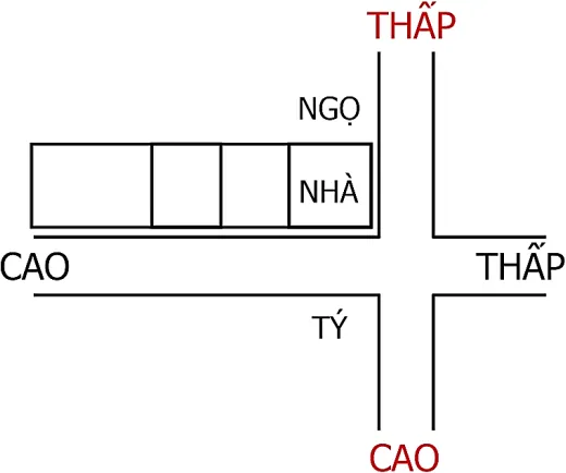 Hình 202