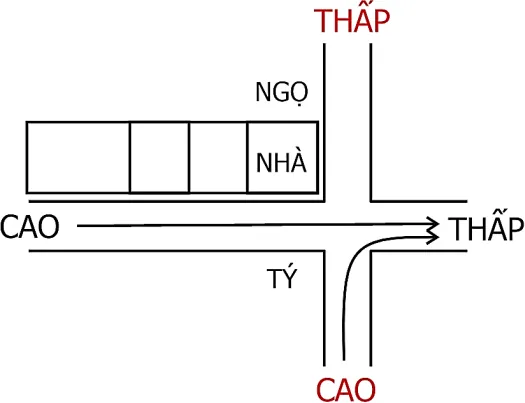 Hình 203