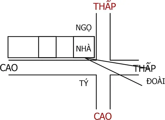 Hình 204