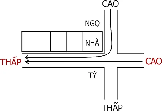 Hình 206