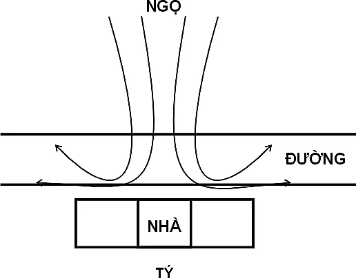 Hình 215