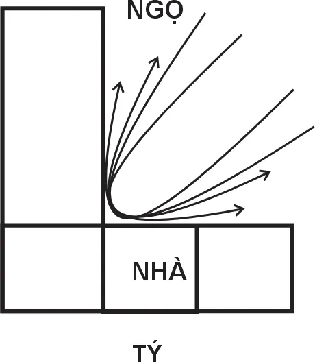Hình 217