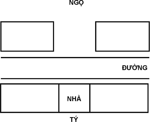 Hình 222