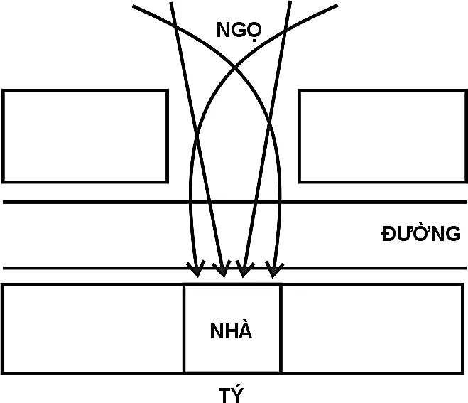 Hình 223