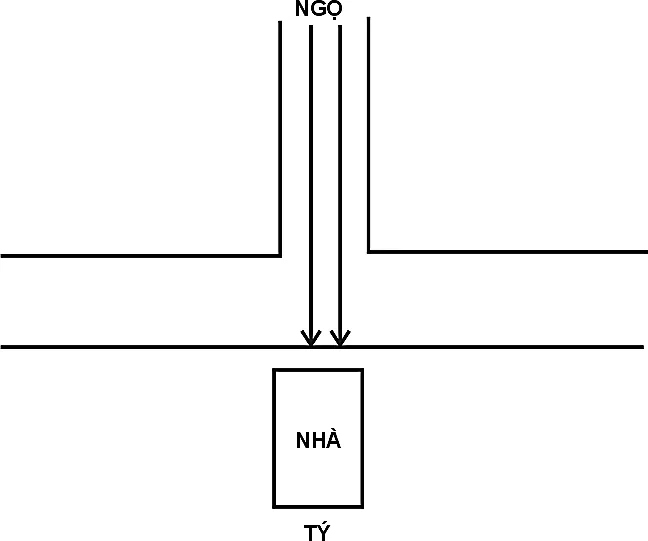 Hình 226