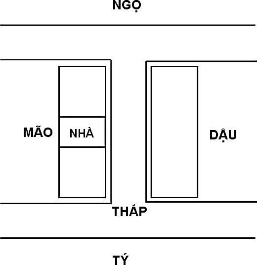 Hình 239