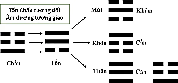 Hình 29: Chấn Tốn tương đối