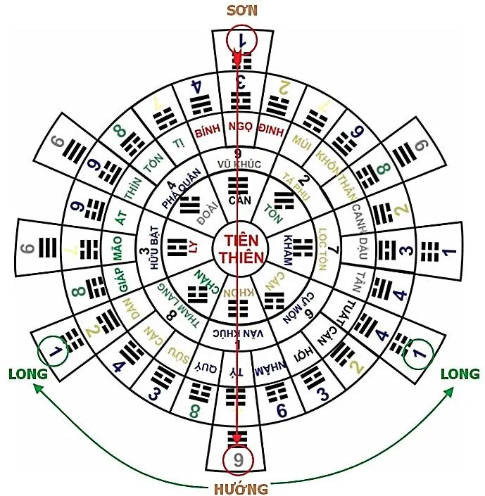 Hình 101