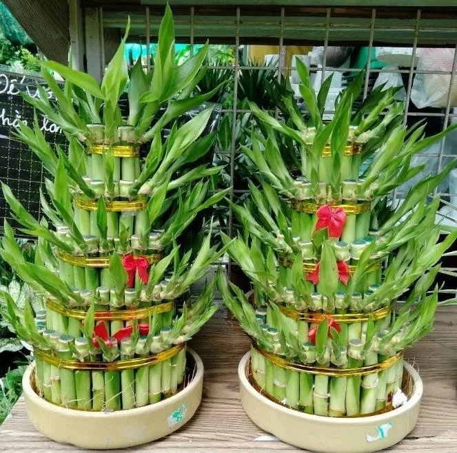 Huyền không lục pháp chân truyền – phongthuylienhoa
