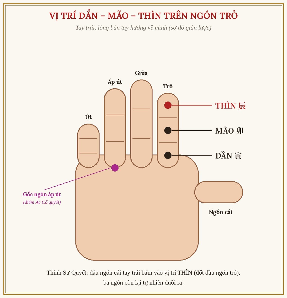 Hình 17: Vị trí Dần – Mão – Thìn trên ngón trỏ (bổ sung thêm)