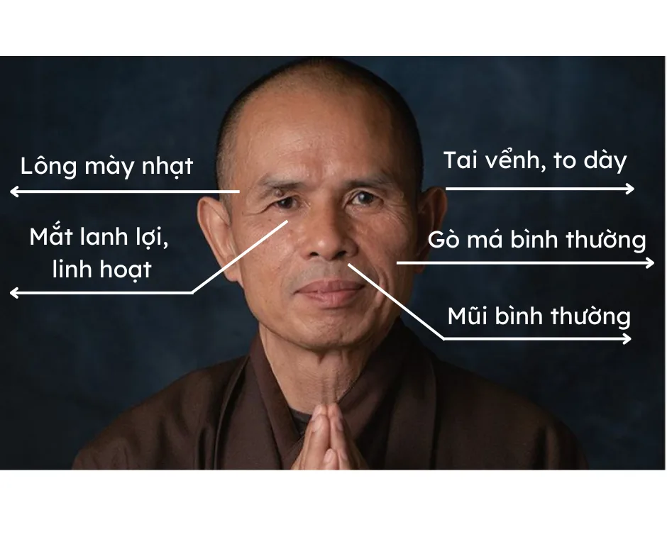 Nhân Tướng Tổng Hợp (Bài 4): Tướng Thủy — Diện Tướng Cân Bằng Và Hai Mặt Của Nó