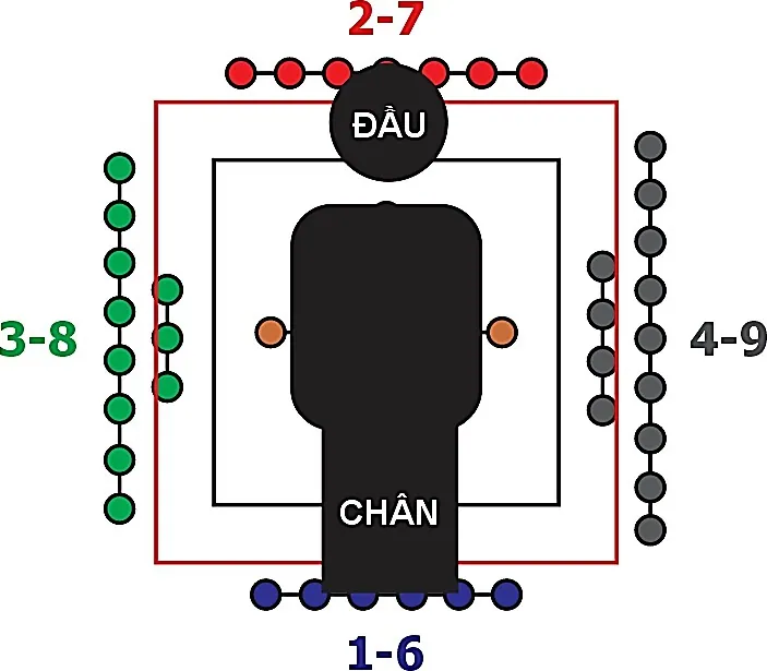 Hình 313