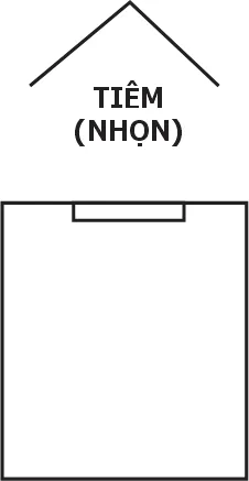 Hình sát Giác