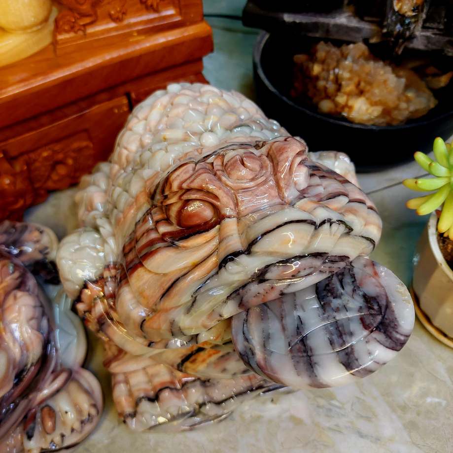 thiem thu ngoc tim lien hia