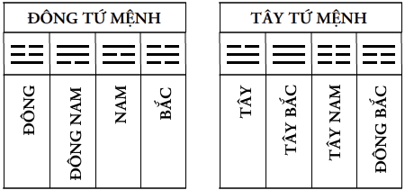 dong-tu-menh-tay-tu-menh