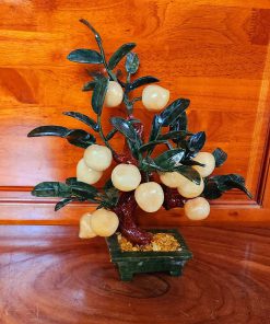 cay-dao-tien-phong-thuy