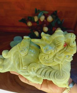 ty-huu-cong-gay-nhu-y