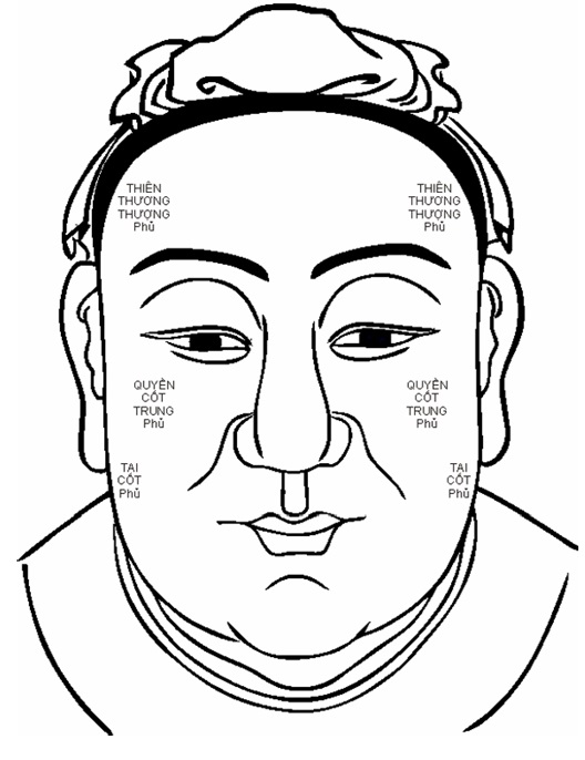 Khóa Nhân Tướng Liên Hoa Cơ Bản