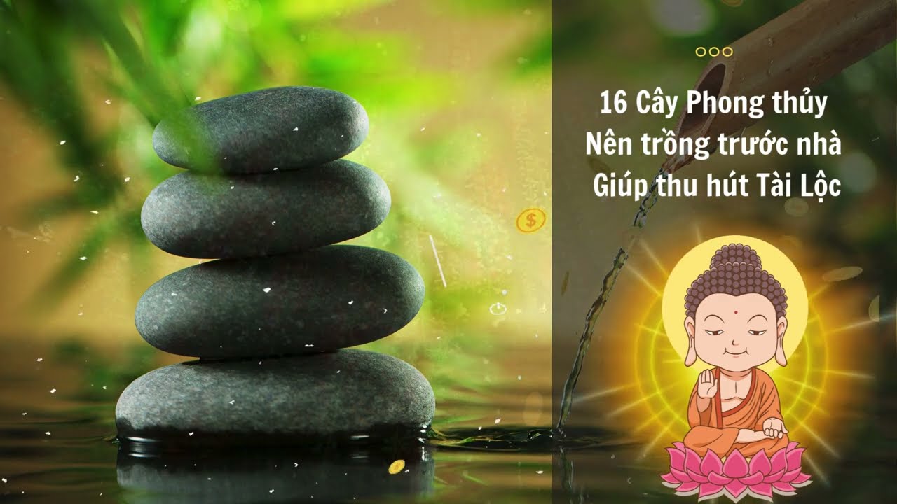 Phong thuỷ sân vườn cho không gian sống hòa hợp